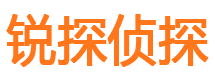 龙江侦探公司